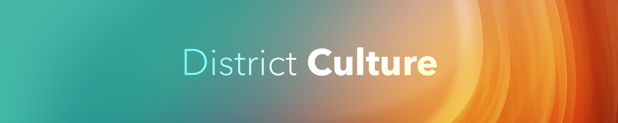 District Culture Title Header